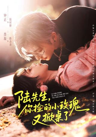 《陆先生，你捡的小玫瑰又掀桌了》短剧海报