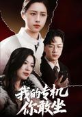 《我的专机你敢坐》短剧海报