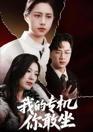 《我的专机你敢坐》短剧海报