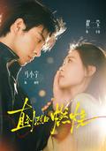 Until the sun burns short-drama poster