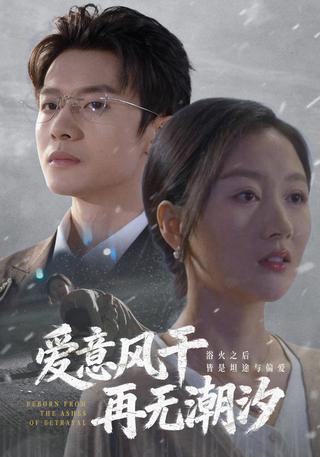 《爱意风干再无潮汐》短剧海报