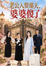 《老公入赘那天，婆婆傻了》短剧海报