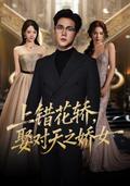 《上错花轿，娶对天之娇女》短剧海报