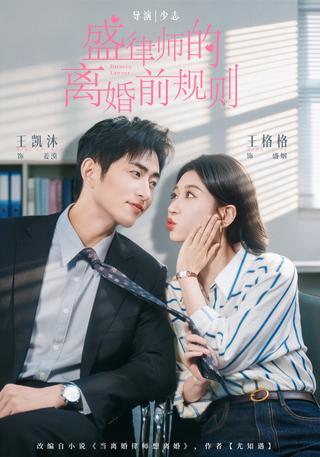 A Divorce Lawyer's Rules Before the Split short-drama poster