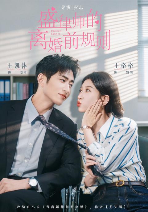 A Divorce Lawyer's Rules Before the Split short-drama poster