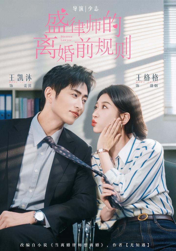 A Divorce Lawyer's Rules Before the Split short-drama poster
