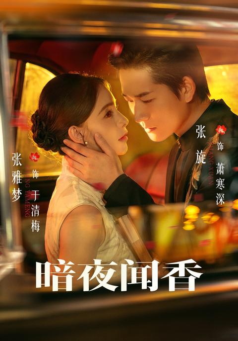 Plum Fragrance in the Dark short-drama poster