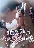 《暗恋多年后我怀上了男神的崽》短剧海报