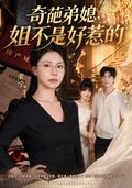 My Sister-in-Law's Scheme Ends Here short-drama poster