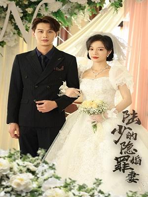 《陆少的隐婚罪妻》短剧海报