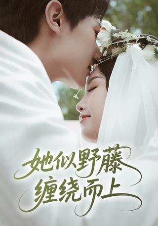 《她似野藤，缠绕而上》短剧海报