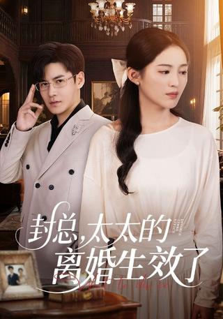 《封总，太太的离婚生效了》短剧海报