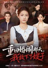 《重回婚鬧那天，我救下了嫂子》短劇海報