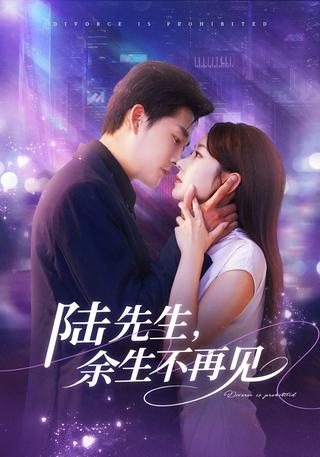 《陆先生，余生不再见》短剧海报