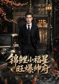 《錦鯉小福星旺爆帥府，第一季》短劇海報