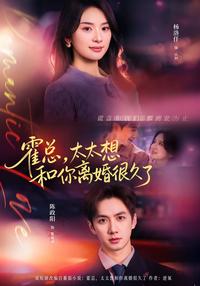 《霍總，太太想和你離婚很久了》短劇海報