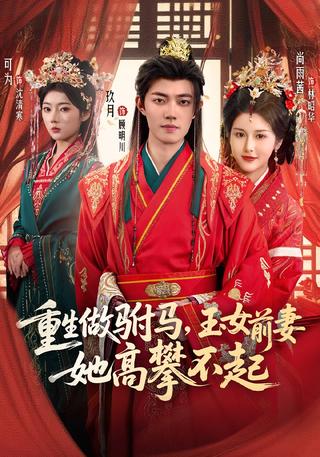 《重生做驸马，玉女前妻她高攀不起》短剧海报