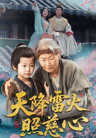 《天降雷火照慈心》短剧海报