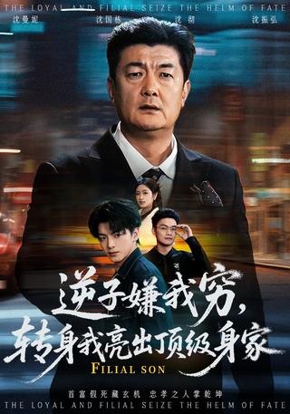 《逆子嫌我穷，转身我亮出顶级身家》短剧海报