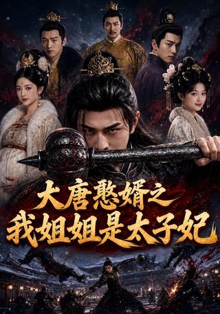 《大唐憨婿之我姐姐是太子妃》短剧海报