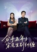 Five Years After Breakup, Mr. Song Stop Pestering short-drama poster