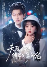 《天降小孕妻，傅爺他拿命寵》短劇海報