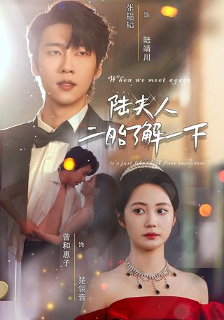 《陆夫人，二胎了解一下》短剧海报